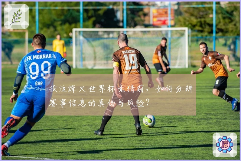 投注烽火世界杯竞猜前，如何分辨赛事信息的真伪与风险？