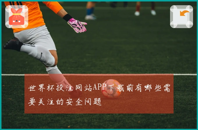 世界杯投注网站APP下载前有哪些需要关注的安全问题