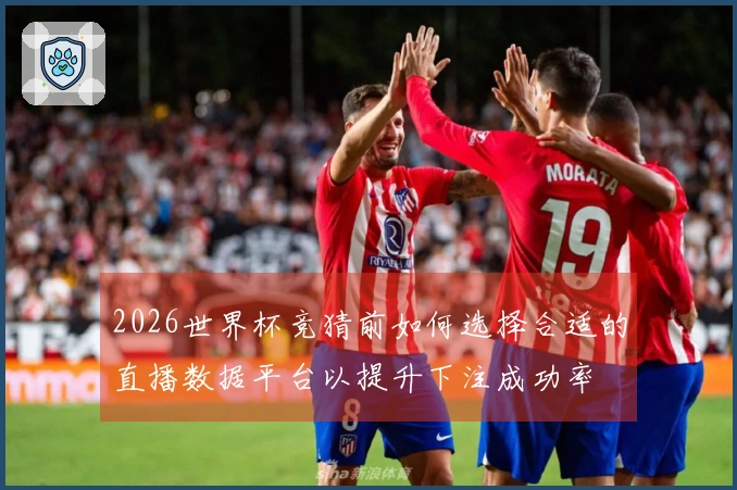 2026世界杯竞猜前如何选择合适的直播数据平台以提升下注成功率