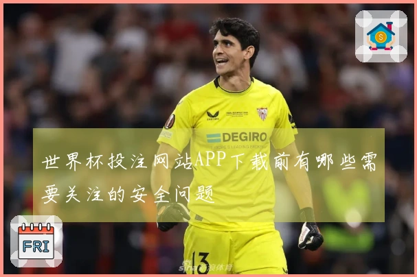 世界杯投注网站APP下载前有哪些需要关注的安全问题