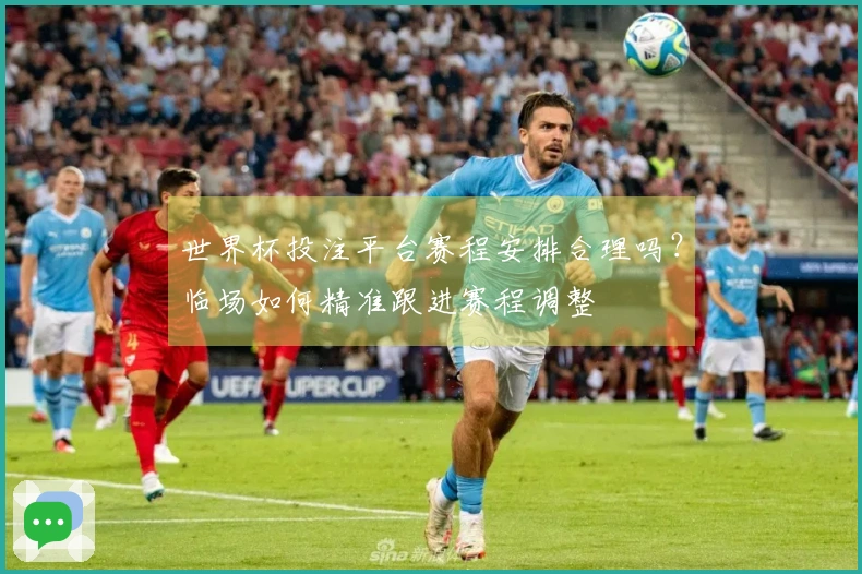 世界杯投注平台赛程安排合理吗？临场如何精准跟进赛程调整
