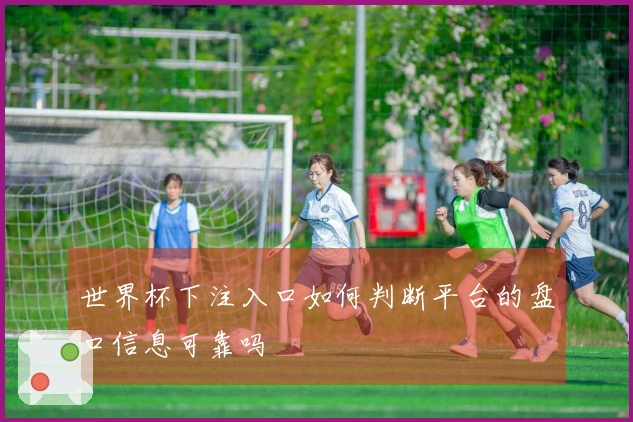 世界杯下注入口如何判断平台的盘口信息可靠吗