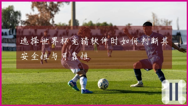 选择世界杯竞猜软件时如何判断其安全性与可靠性