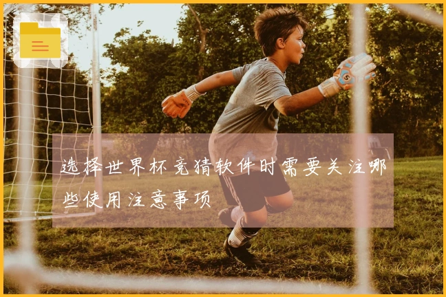 选择世界杯竞猜软件时需要关注哪些使用注意事项