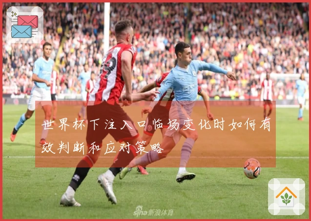 世界杯下注入口临场变化时如何有效判断和应对策略